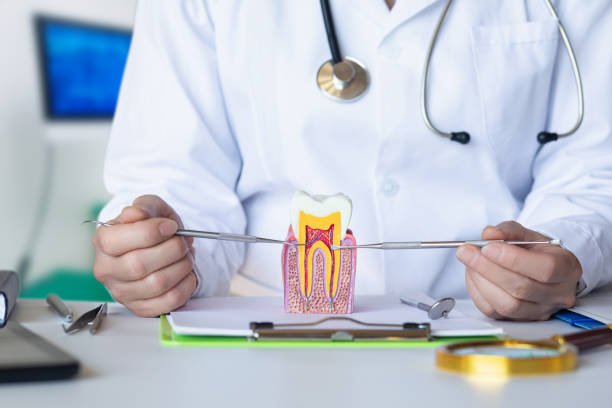Best Emergency Tooth Extraction in Rosedale, WA